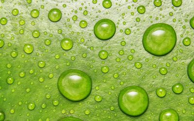 A single drop of water creating perfect circles.